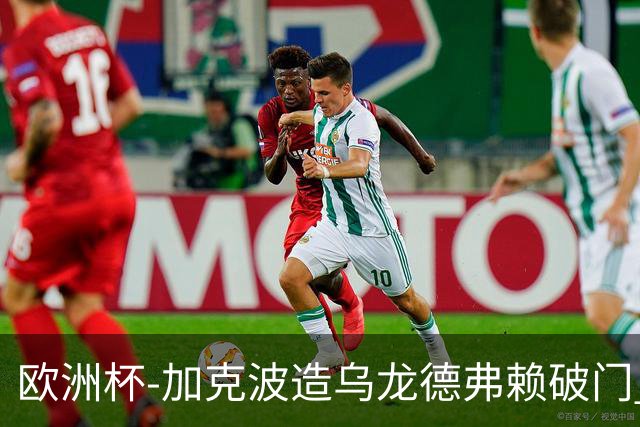 欧洲杯-加克波造乌龙德弗赖破门 荷兰2-1土耳其