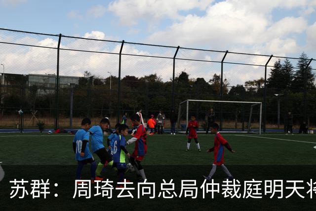 苏群：周琦去向总局仲裁庭明天将会给出结论